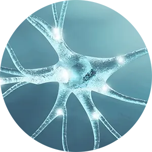 Brain Injury Conditions Treatment by Chiropractic Neurologist in San Diego CA