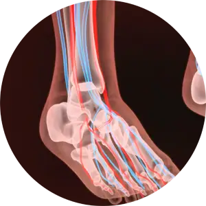 Neuropathy Conditions Treatment by Chiropractic Neurologist in San Diego CA